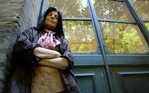 Susan Sontag – a vida, a obra e os diários