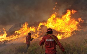 Incêndios: Quase dois mil operacionais combatiam 11 incêndios
