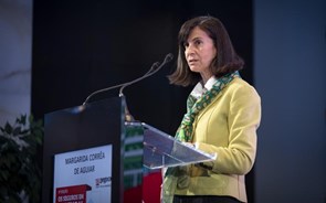 Margarida Corrêa de Aguiar: “A pandemia foi um verdadeiro teste de stress às seguradoras” 