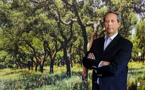 E vão dois. Há mais uma casa de investimento a cortar o preço-alvo da Corticeira Amorim