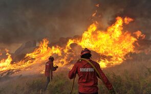 bombeiros, fogo, incêndio