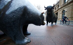 touro e urso