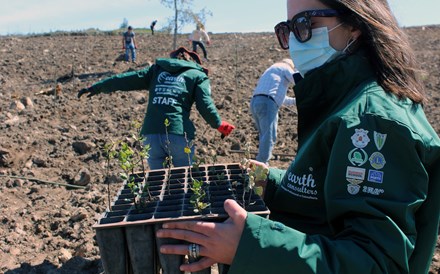 Reflorestar com a Earth Consulters e a Quercus