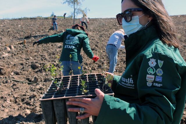 Reflorestar com a Earth Consulters e a Quercus