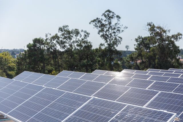 Painéis destronam eólicas. Solar sobe ao segundo lugar no pódio das renováveis 