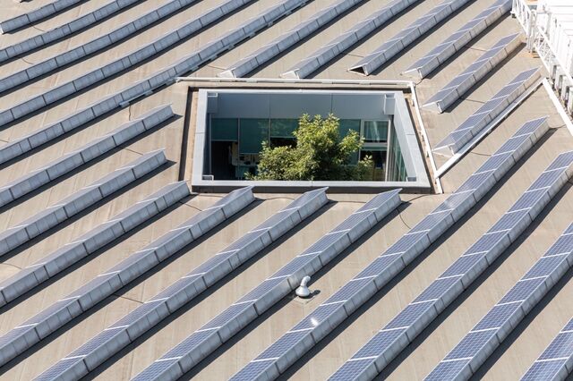 Maioria do financiamento da Sonae já é verde e supera os 1.000 milhões 