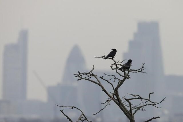 Direção-Geral da Saúde recomenda medidas para fazer face a poeiras em suspensão