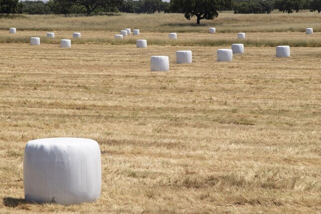 Agricultores acusam Governo de falhar execução do Programa Nacional de Regadios
