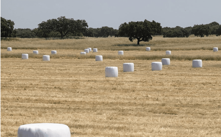 As propriedades agrícolas não chegaram a ser avaliadas à luz das regas do código do IMI de 2003, ao contrário dos prédios urbanos.