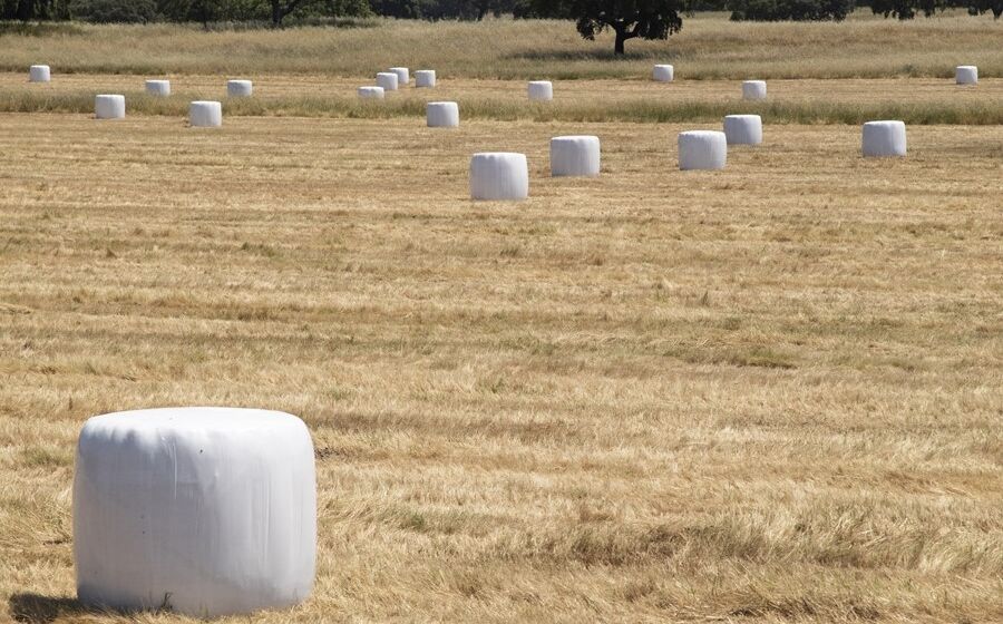Agricultura, propriedades agrícolas