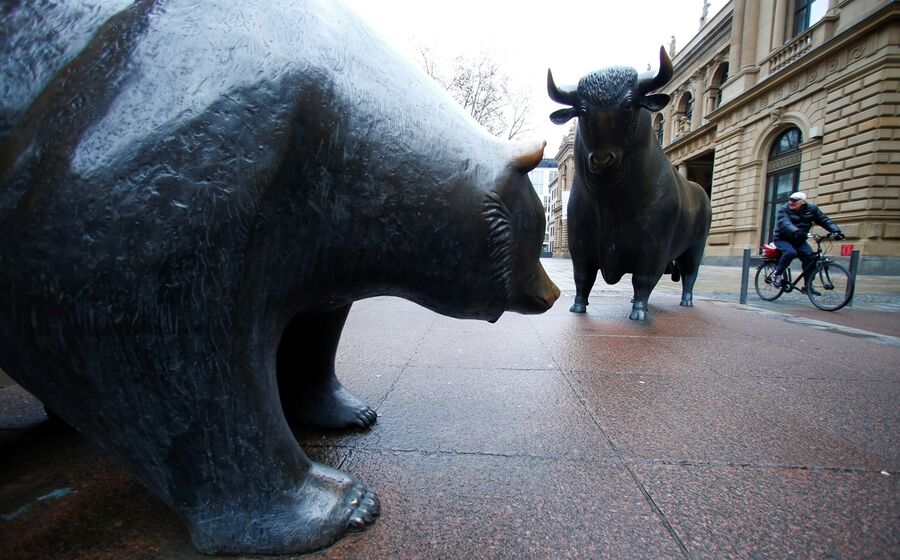 touro e urso