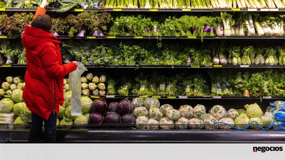 Los precios mundiales de los alimentos caen por quinto mes consecutivo – Economía