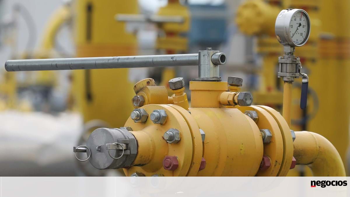 Deutschland wird vier schwimmende Regasifizierungseinheiten leasen, um russisches Gas zu ersetzen