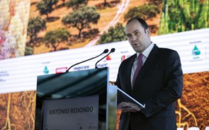 António Redondo: “Floresta é sustentabilidade”