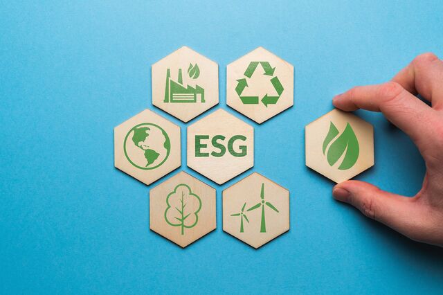 Implementação de práticas ESG é cada vez mais relevante