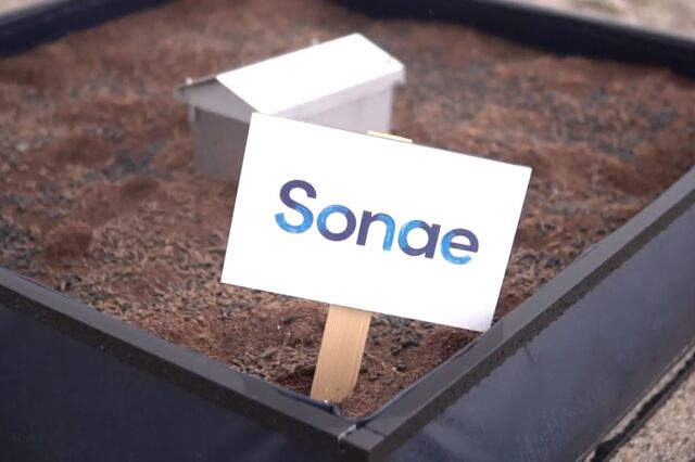 Sonae planta horta comunitária no 'campus' da Maia e vai doar frutos colhidos