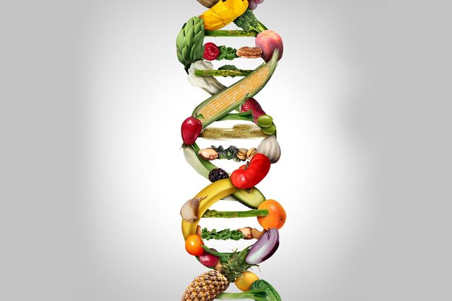 Foodtech: uma revolução alimentar em curso
