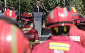 Liga dos Bombeiros Portugueses defende demissão do presidente da Agência para a gestão de fogos rurais