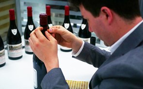 Mais de 4 biliões de dólares são gastos em vinhos falsificados em todo o mundo