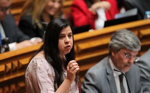 inês de sousa real, PAN