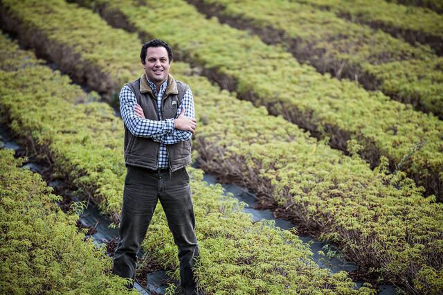 O príncipe dos jardins