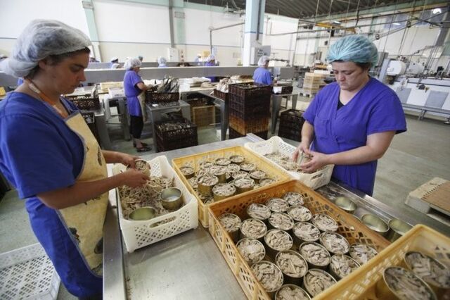 Assinado contrato para exploração da fábrica de conservas Santa Catarina, em São Jorge