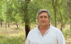 António Gonçalves Ferreira, presidente da União da Floresta Mediterrânica