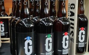 cerveja Gaius