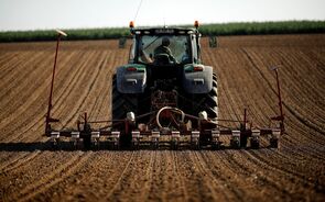 agricultura, agrícola, campos