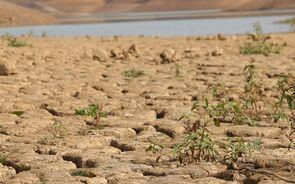 seca, tempo, alterações climáticas, clima