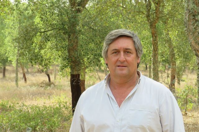 “Floresta não consegue concorrer” com a alternativa das centrais solares