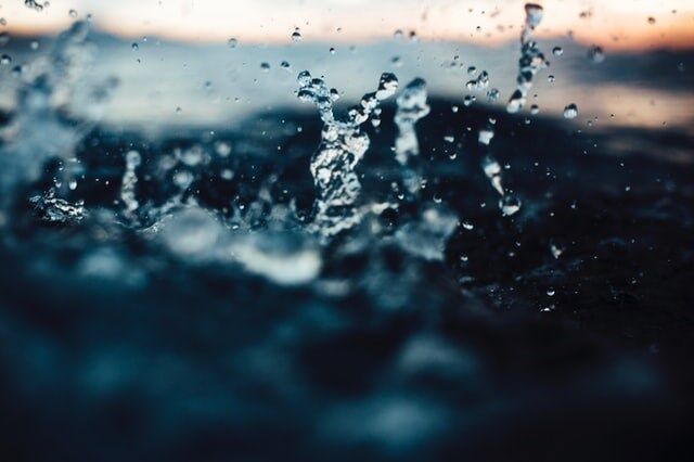 Dia Mundial dos Oceanos: “É fundamental investir em mais políticas públicas para os oceanos”