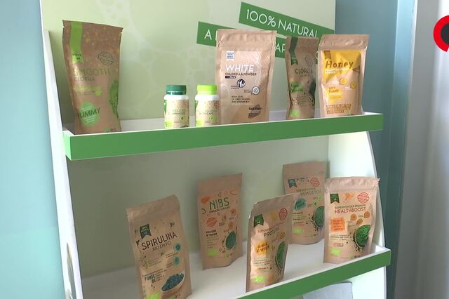 Toneladas de microalgas produzidas em Pataias usadas em alimentação e cosmética