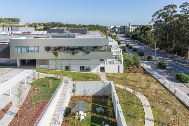 Sonae promete “zero desflorestação” até 2030