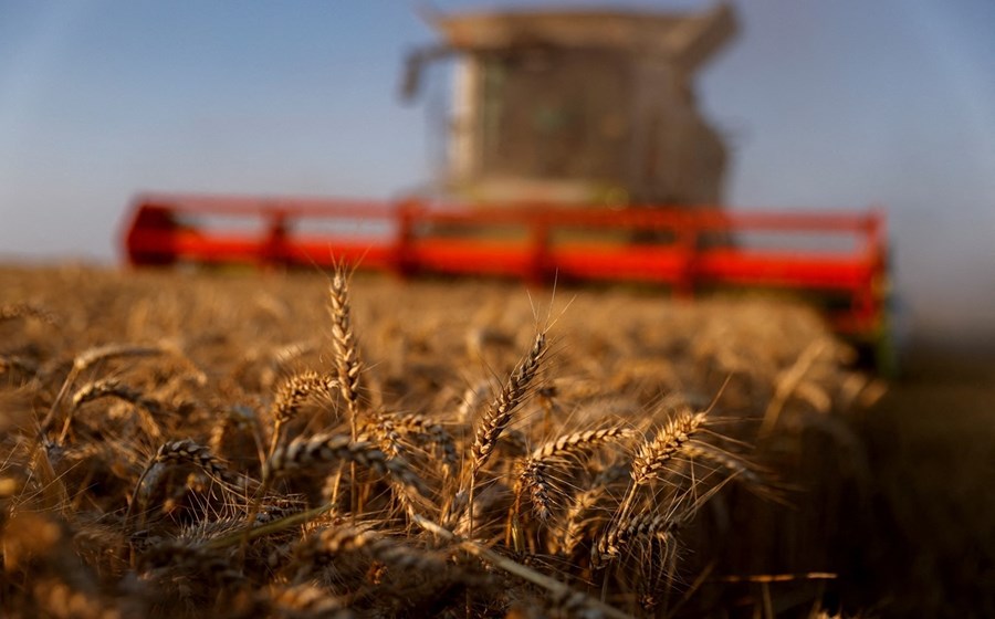 O Governo pretende aumentar a autonomia estratégica do país em matéria de produção de cereais.