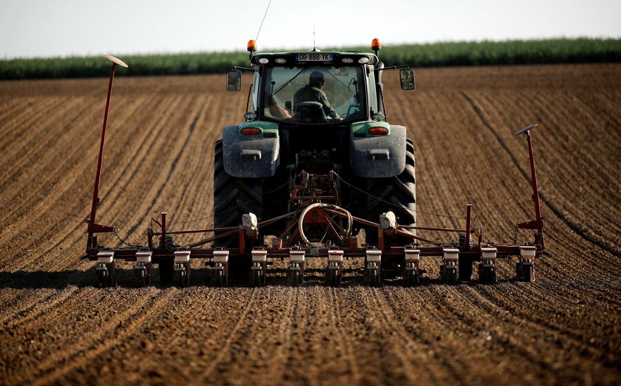 agricultura, agrícola, campos