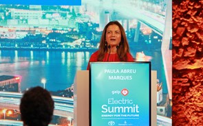 Paula Abreu Marques: “A energia solar pode ser a principal fonte de eletricidade na UE em 2030”