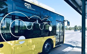 Carris Metropolitana começa a operar este domingo no distrito de Lisboa