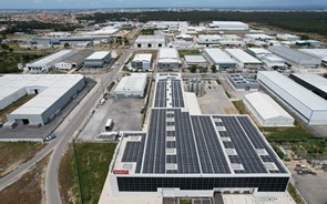 Profit Energy instala 1.500 painéis solares na fábrica da Bodum em Portugal