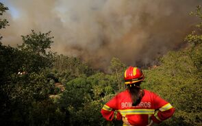 incêndios, fogos, bombeiros