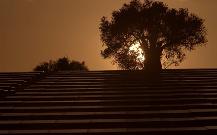 Aquila investe 400 milhões em quatro centrais solares