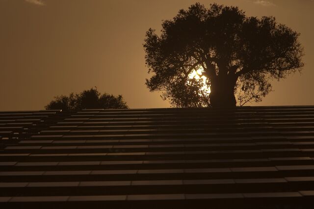 Aquila investe 400 milhões em quatro centrais solares