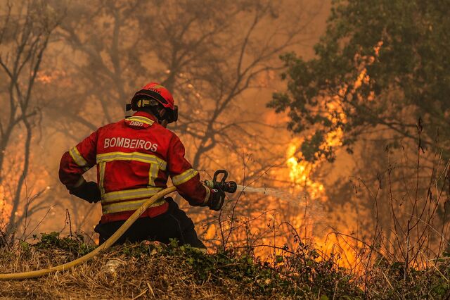  Elevada exposição da banca portuguesa a riscos climáticos pode afetar 'rating', avisa DBRS