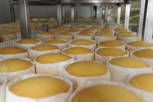 Dona da Parmalat avança para compra da dona dos queijos Paiva
