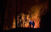 'Se há um pinhal que arde, há também uma ligação que se perde. É como se a cola deixasse de colar tão bem”, diz Rui Gaspar.