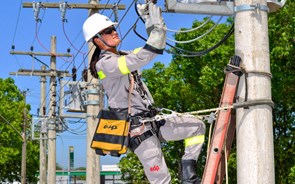 Participada da EDP no Brasil vai encaixar mais 265 milhões de euros com revisão de tarifas