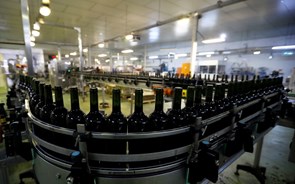 Produtores de vinho admitem voltar a subir preços este ano