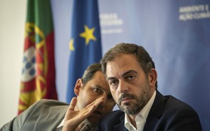 Travão de emergência no gás proposto por Bruxelas 'não serve a Portugal', diz Galamba