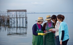 ActivoBank junta-se à Ocean Alive