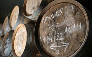 Adega de Pegões: investimento cria maior adega cooperativa de Portugal